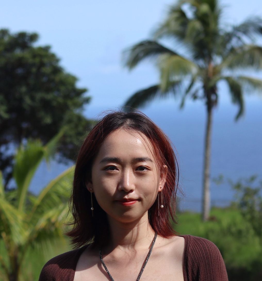website picture